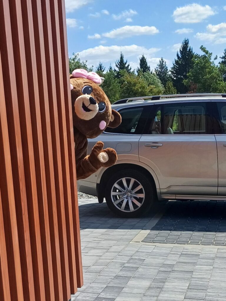 miś żywa maskotka na eventy wydarzenia